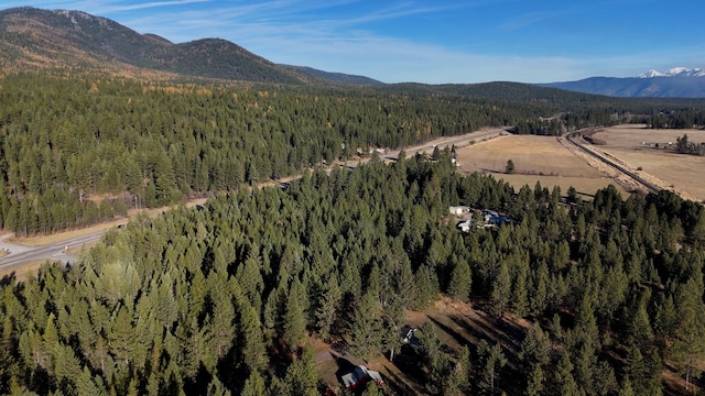 birds eye view of property featuring a mountain view