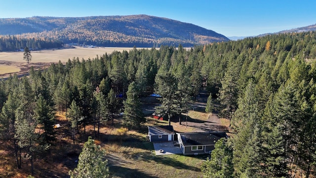 aerial view featuring a mountain view