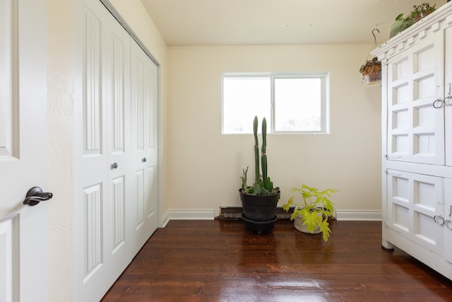 interior space featuring dark hardwood / wood-style flooring