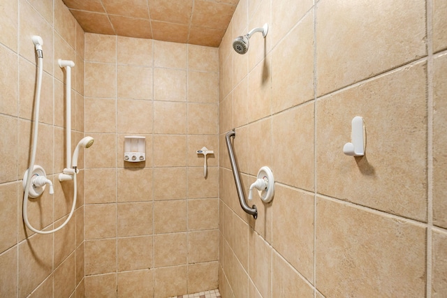 451 1st Rd NE, Fairfield, MT 59436 - bathroom with tiled shower