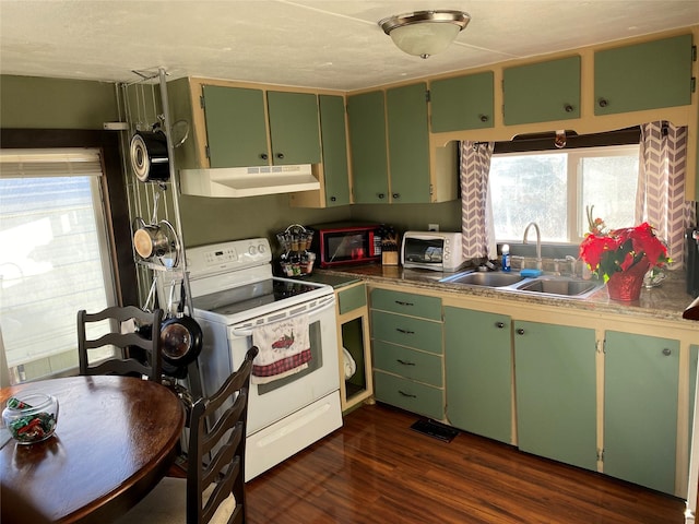 kitchen with dark hardwood / wood-style flooring, electric range, green cabinetry, and sink