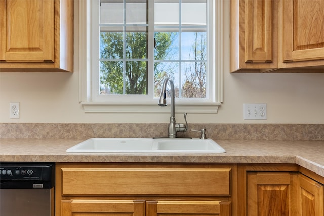 kitchen featuring stainless steel dishwasher and sink