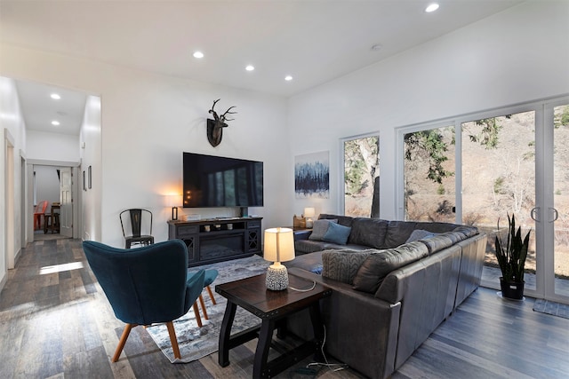 living room with a towering ceiling and dark hardwood / wood-style flooring