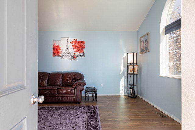 living room with dark wood-type flooring and lofted ceiling