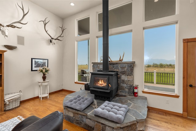 living room with a wood stove, a wealth of natural light, and light hardwood / wood-style flooring