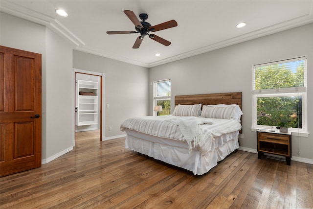 bedroom with dark wood-type flooring, a walk in closet, ceiling fan, and crown molding