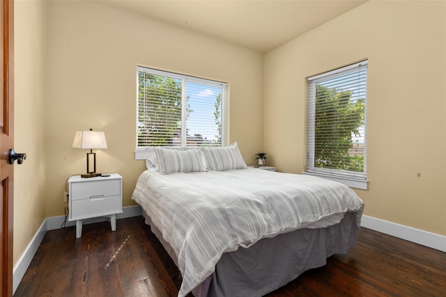 bedroom featuring multiple windows and dark hardwood / wood-style flooring