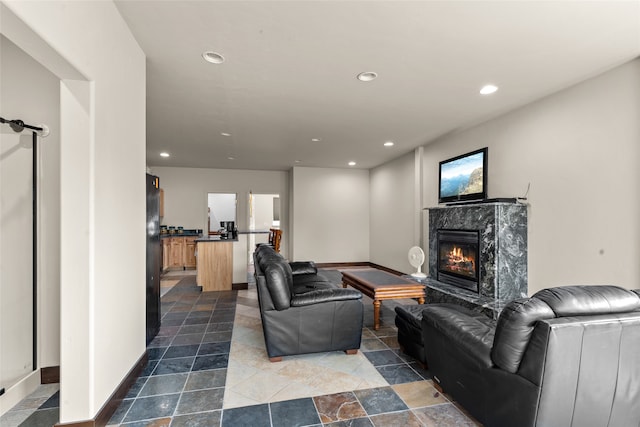 living room featuring a barn door and a fireplace