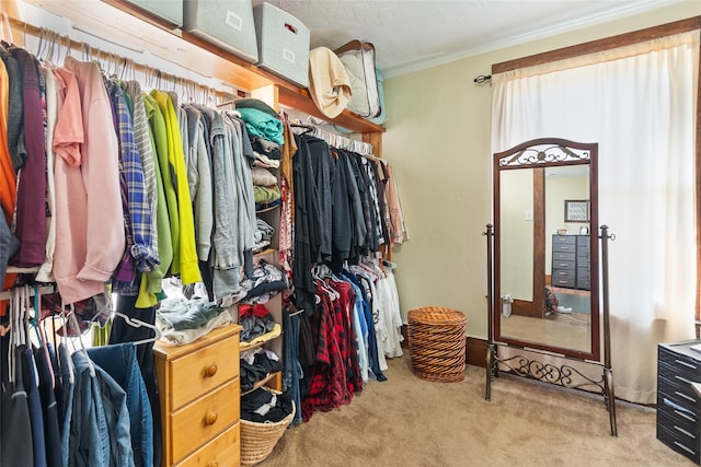 walk in closet with light colored carpet