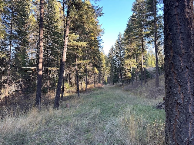 4895 Mt Highway 200, Thompson Falls, MT 59873 - view of tree filled area