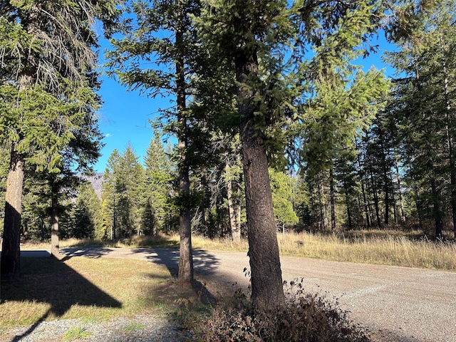 4895 Mt Highway 200, Thompson Falls, MT 59873 - view of road featuring a forest view