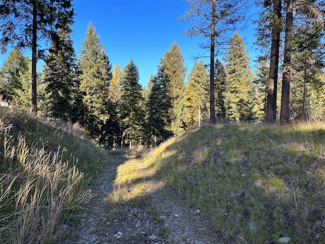 4895 Mt Highway 200, Thompson Falls, MT 59873 - view of wooded area