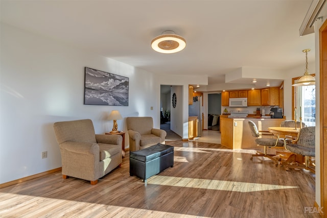 living room featuring light wood-type flooring