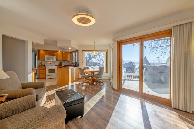 living room with light wood-type flooring and sink