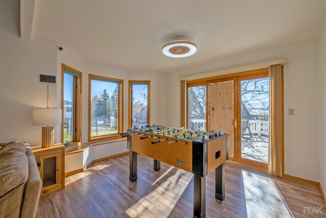 game room featuring plenty of natural light and wood-type flooring