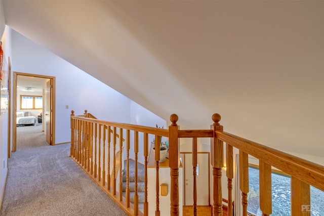 hall featuring carpet flooring and lofted ceiling