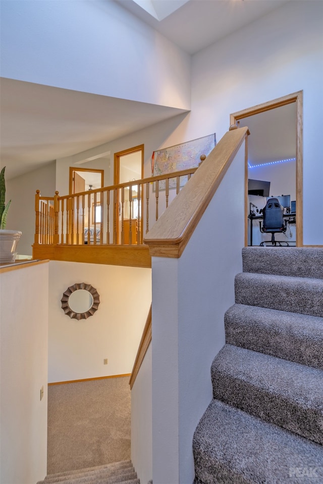 staircase with carpet flooring