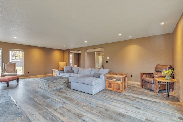 living room with light hardwood / wood-style floors