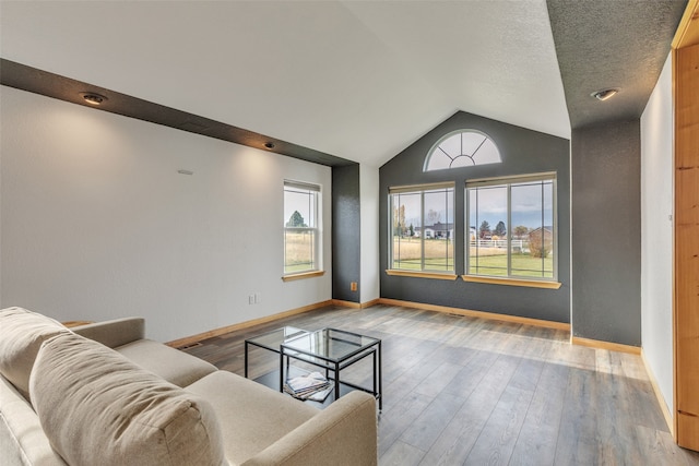 living room featuring hardwood / wood-style floors, a textured ceiling, and vaulted ceiling