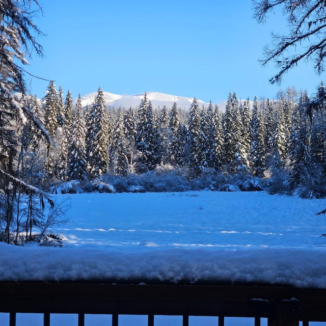 yard layered in snow with a mountain view