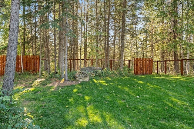 view of yard featuring a fenced backyard