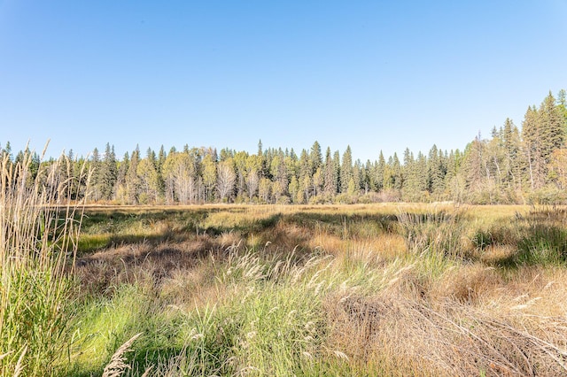 view of landscape with a forest view