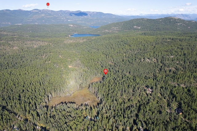 birds eye view of property with a wooded view and a mountain view