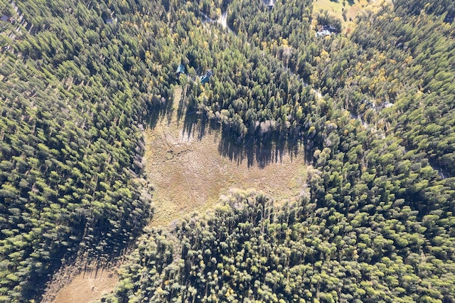 birds eye view of property featuring a forest view