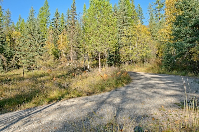 view of street featuring a wooded view