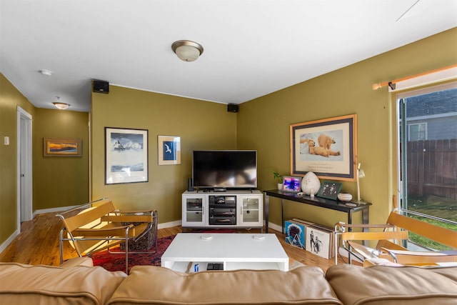 living room featuring hardwood / wood-style flooring