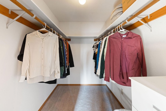 128 Ledgewood Dr, Bigfork, MT 59911 - view of spacious closet