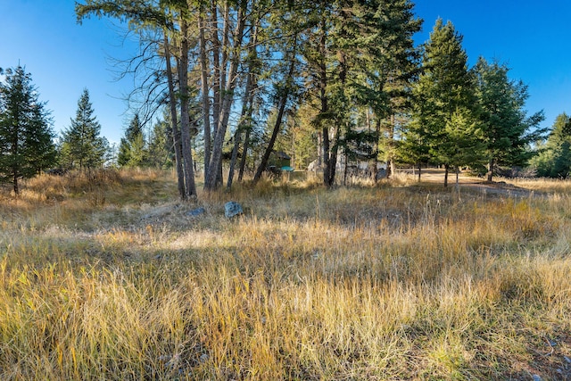 view of local wilderness