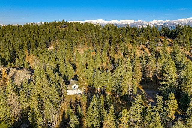 128 Ledgewood Dr, Bigfork, MT 59911 - bird's eye view of a heavily wooded area and a mountain backdrop