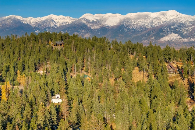 property view of mountains