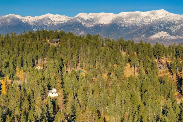 128 Ledgewood Dr, Bigfork, MT 59911 - mountain view featuring a forest