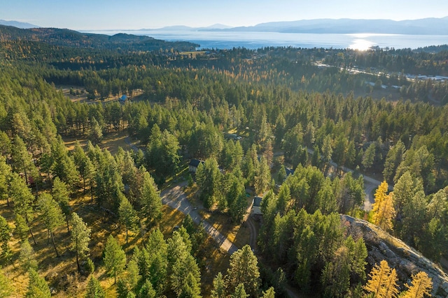 128 Ledgewood Dr, Bigfork, MT 59911 - aerial view of property's location featuring a mountain backdrop and a heavily wooded area
