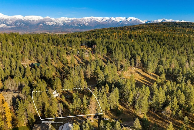 128 Ledgewood Dr, Bigfork, MT 59911 - mountain view with a heavily wooded area