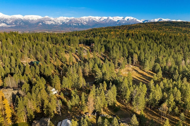 128 Ledgewood Dr, Bigfork, MT 59911 - mountain view with a heavily wooded area