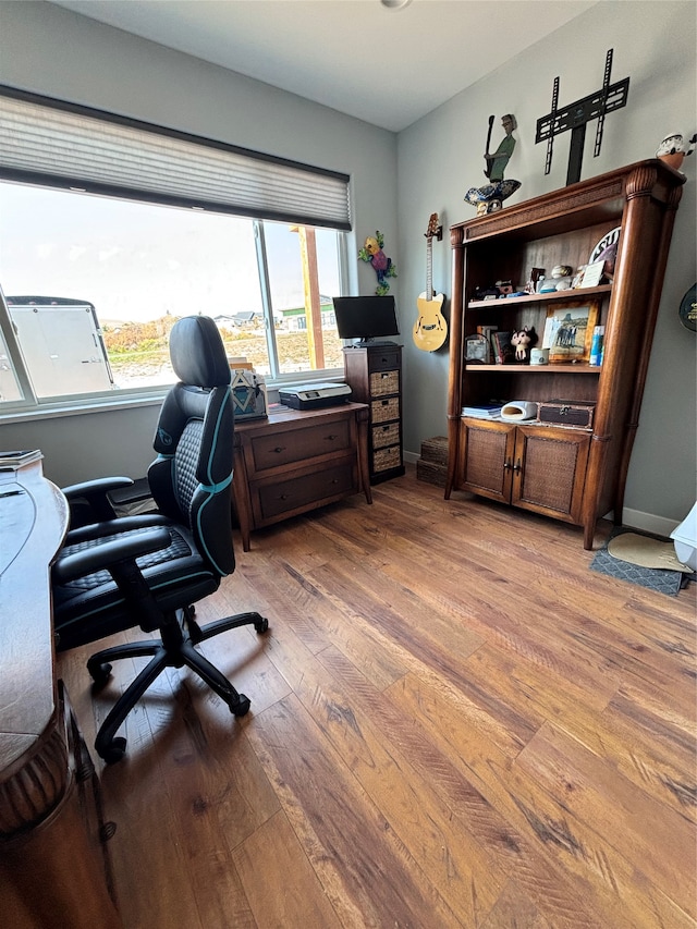 kitchen with a wealth of natural light and wooden walls