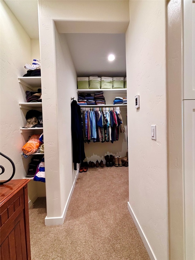 walk in closet with light colored carpet