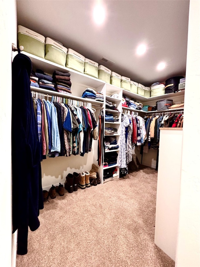 spacious closet featuring carpet