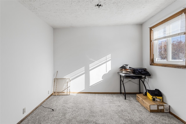 miscellaneous room with a textured ceiling and carpet flooring