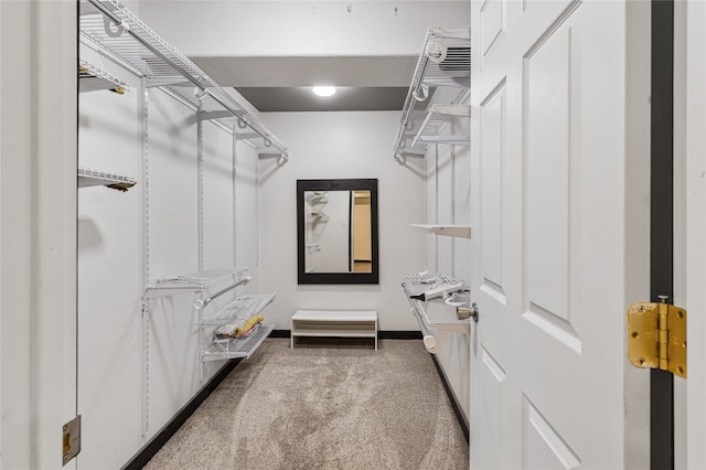 spacious closet featuring carpet floors