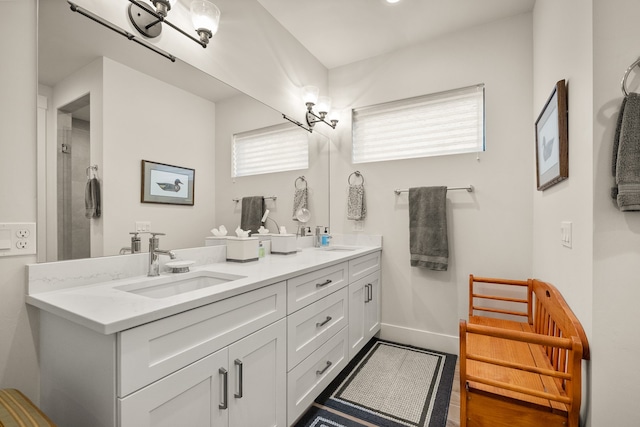 bathroom featuring vanity and a healthy amount of sunlight