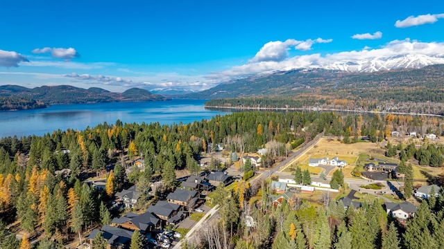 drone / aerial view with a water and mountain view