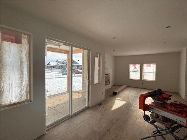 interior space with a healthy amount of sunlight and light hardwood / wood-style flooring