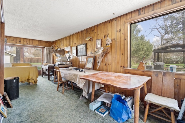 1312 2nd Ave E, Kalispell, MT 59901 - carpeted dining space with a textured ceiling, healthy amount of natural light, and wooden walls