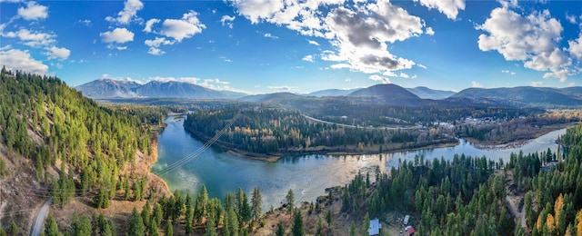 water view with a mountain view