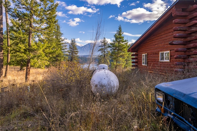 view of yard featuring a mountain view