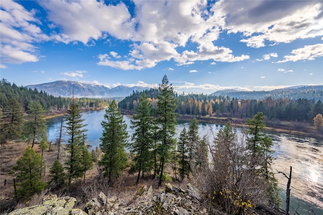 water view featuring a mountain view